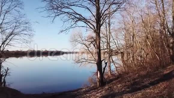 白湖春景视频的预览图