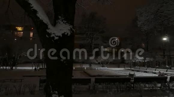 城市里的冬天晚上在公园4UHDK视频的预览图