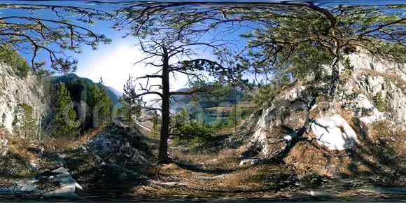 秋天阳光明媚的时候一个山景的VR野山松树和巨大的岩石视频的预览图