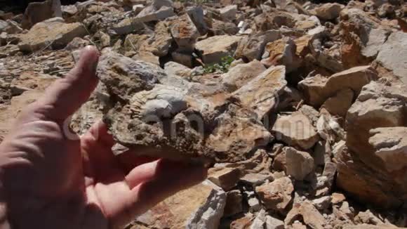 化石挖掘和提取视频的预览图