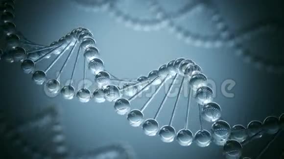 DNA模型循环动画视频的预览图