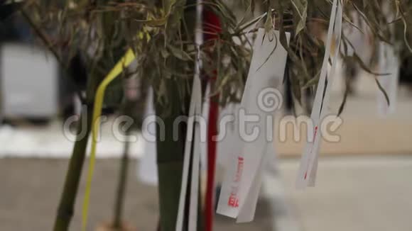 东京特写中的Asakusa神社视频的预览图