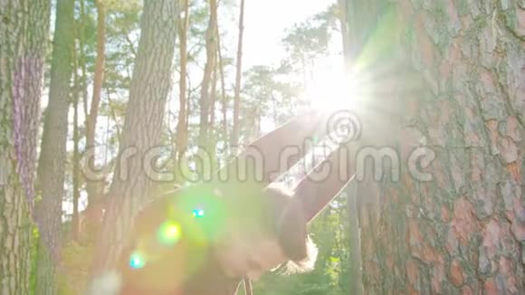 年轻人在森林里伸展视频的预览图
