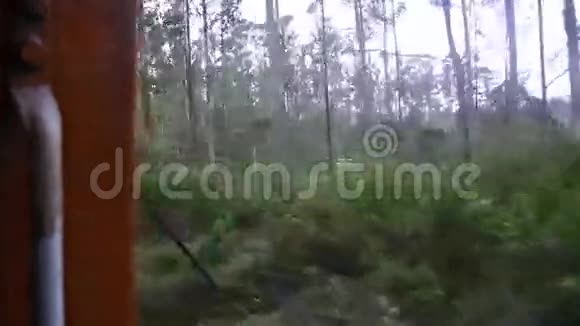 NuwaraEliya山景图来自一列移动火车斯里兰卡视频的预览图