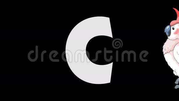 字母C和Cockatoo背景视频的预览图