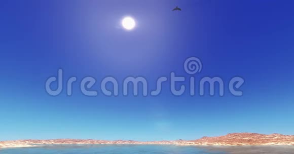 鹰盘旋在高高的天空湖和山明亮的太阳视频的预览图