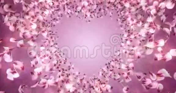 粉红玫瑰樱花花瓣心形背景占位符环4k视频的预览图