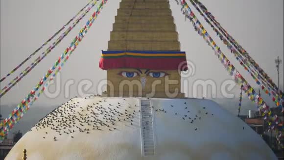 尼泊尔的BodhnathStupa视频的预览图