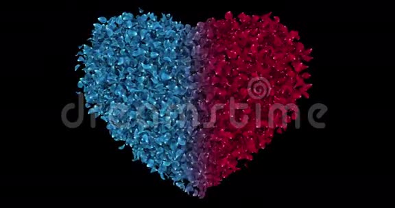 浪漫的红蓝玫瑰花花瓣在心形阿尔法垫循环4k视频的预览图