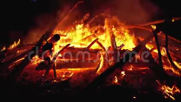 森林里的大篝火在夜里燃烧视频的预览图