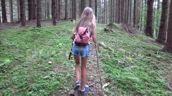 儿童漫步森林儿童户外自然女孩在露营冒险视频的预览图