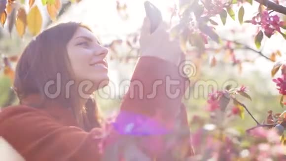 在公园日落时分年轻迷人的红发女子在智能手机上拍摄樱花或樱花的春花视频的预览图
