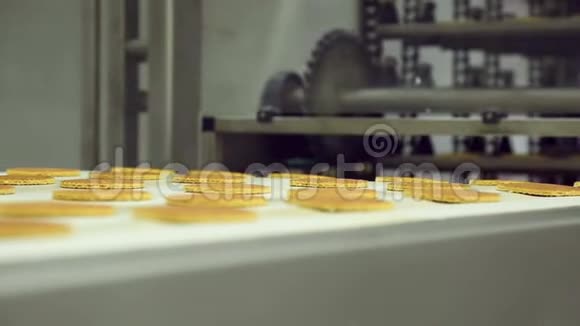 在糖果厂生产饼干的传送带视频的预览图