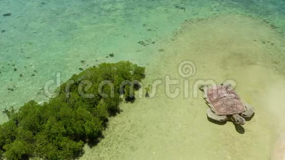 带沙滩的热带岛屿菲律宾巴拉望视频的预览图