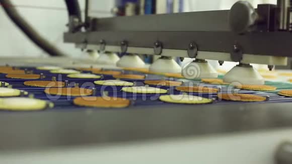 在糖果厂生产饼干的传送带视频的预览图
