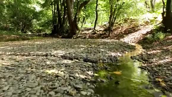 大自然中的秋河视频的预览图