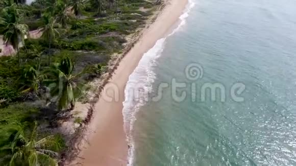 热带白色沙滩和绿松石清澈海水视频的预览图