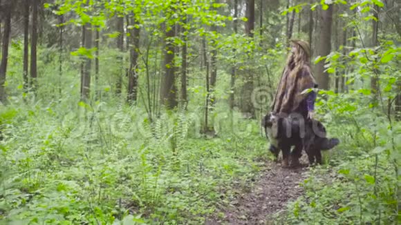 在森林里和狗玩耍的年轻女子视频的预览图