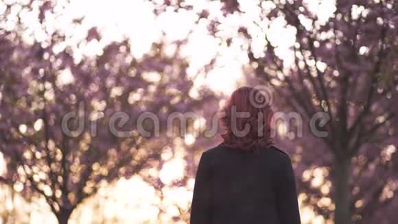 快乐的年轻旅游舞蹈家女人在樱花樱花公园享受自由时光白种人红发女孩视频的预览图