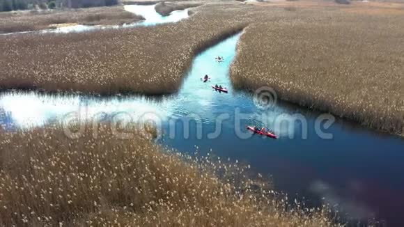 一群人在秋天河上的芦苇丛中划着皮艇视频的预览图