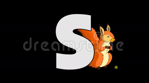 字母S和松鼠背景视频的预览图
