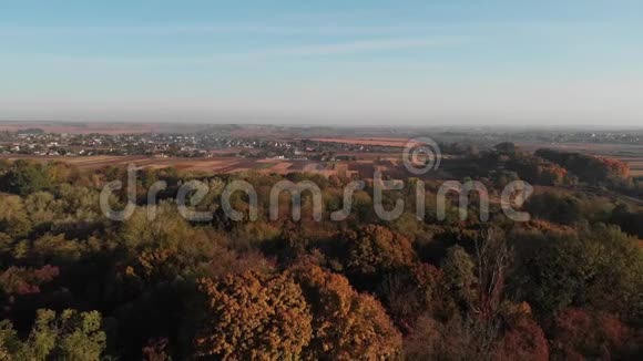 乌克兰农村秋田和森林视频的预览图