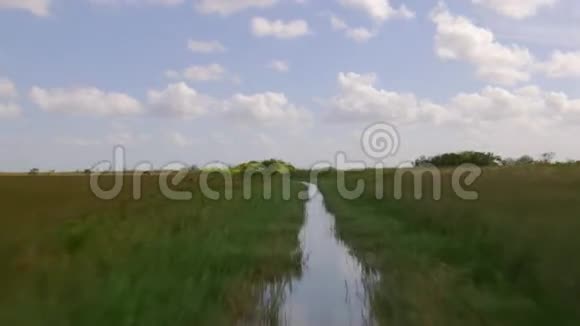 夏日鳄鱼农场快艇4k佛罗里达美国视频的预览图