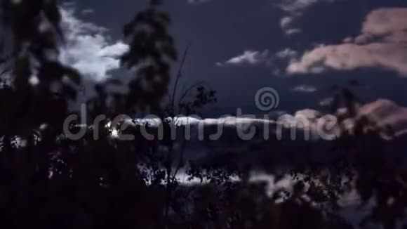 满月通过树木和乌云在夜空中移动时间推移视频的预览图