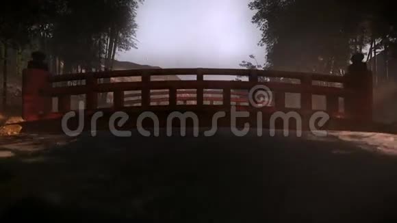 在冬季拍摄的日本岩桥视频的预览图