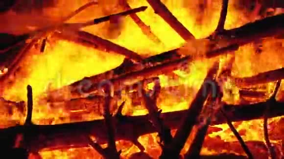森林里的大篝火在夜晚燃烧视频的预览图