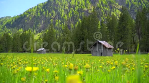 意大利阿尔卑斯山美丽的山谷视频的预览图
