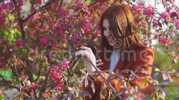 在公园日落时分年轻迷人的红发女子在智能手机上拍摄樱花或樱花的春花视频的预览图