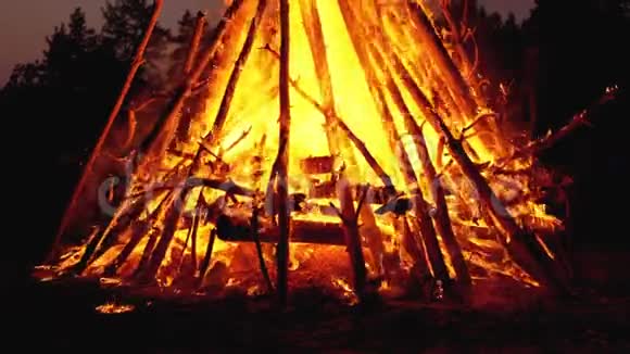大篝火的树枝在森林里的夜晚燃烧慢动作视频的预览图