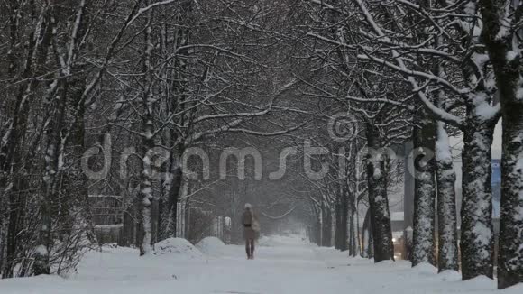 冬天在公园散步的女人视频的预览图