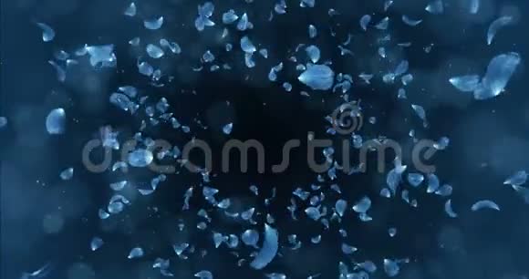 飞行浪漫的深蓝色玫瑰兰花花瓣飘落背景循环4k视频的预览图