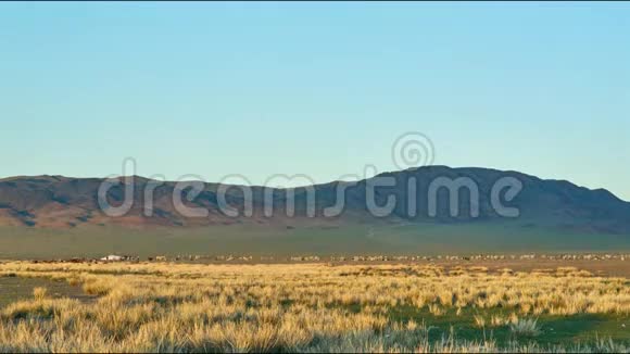 蒙古蒙古沙漠沙丘沙漠视频的预览图