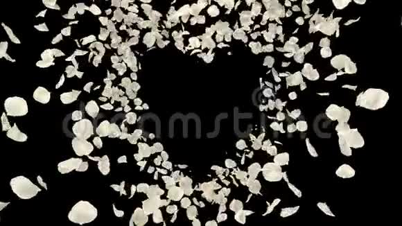 白色玫瑰花花瓣心形阿尔法通道无缝回路4k视频的预览图