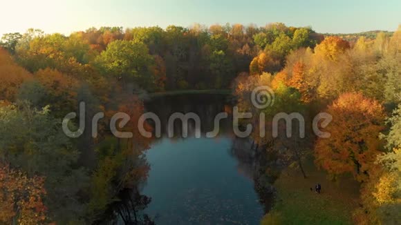 秋天的空中五彩缤纷的森林景象有着橙色和黄色的叶子视频的预览图