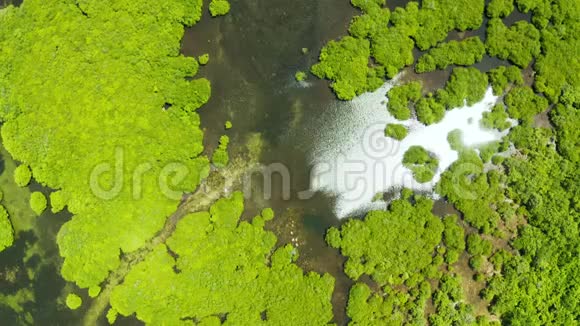 鸟瞰红树林和河流视频的预览图