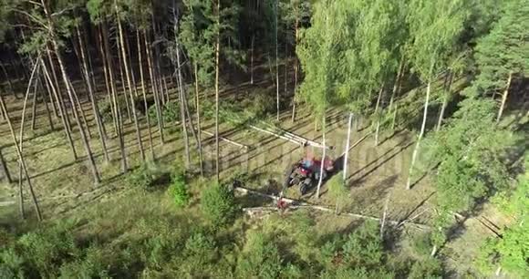 伐木工作伐木机伐木专用设备视频的预览图
