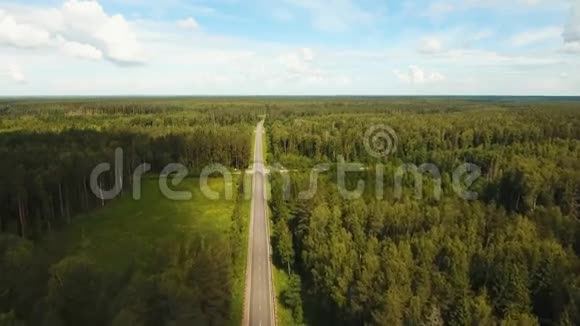 在森林之间的公路视频的预览图