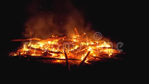 树枝的篝火在森林里夜间燃烧慢动作视频的预览图