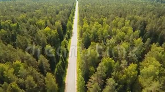 在森林之间的公路视频的预览图