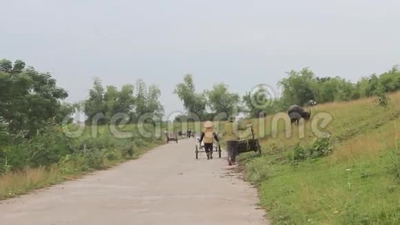 农民拉车越南视频的预览图
