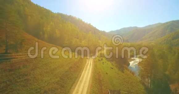 在阳光明媚的夏季早晨低空飞行在带岩石的新鲜快山河上视频的预览图