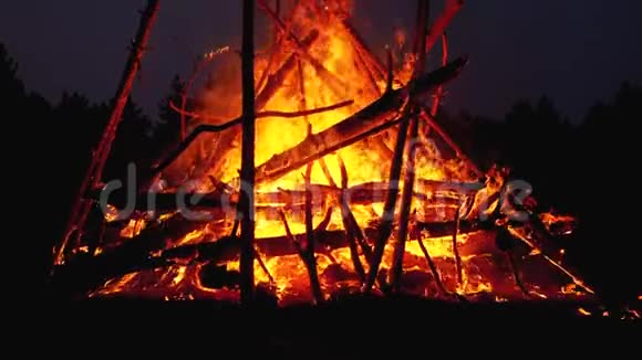 大篝火的树枝在森林里的夜晚燃烧慢动作视频的预览图
