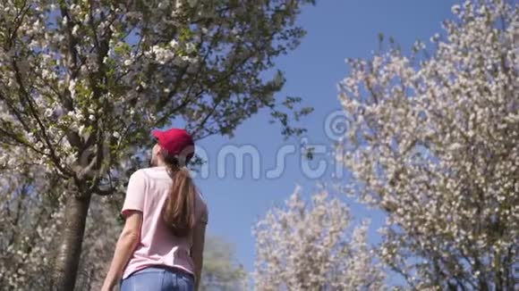 成功的商务女性在公园里享受休闲的自由时光樱花盛开穿着牛仔裤粉红色的樱花树视频的预览图
