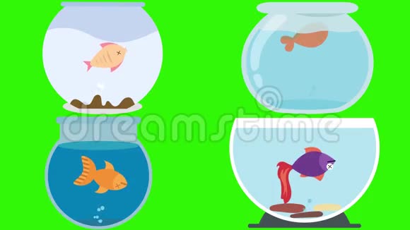 绿屏上装有死鱼的卡通鱼缸视频的预览图