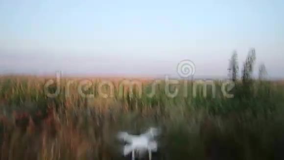 四架飞机飞越玉米田视频的预览图