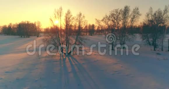 无人驾驶飞机观看寒冷的冬季景观北极的田野覆盖着霜雪的树木和清晨的阳光视频的预览图